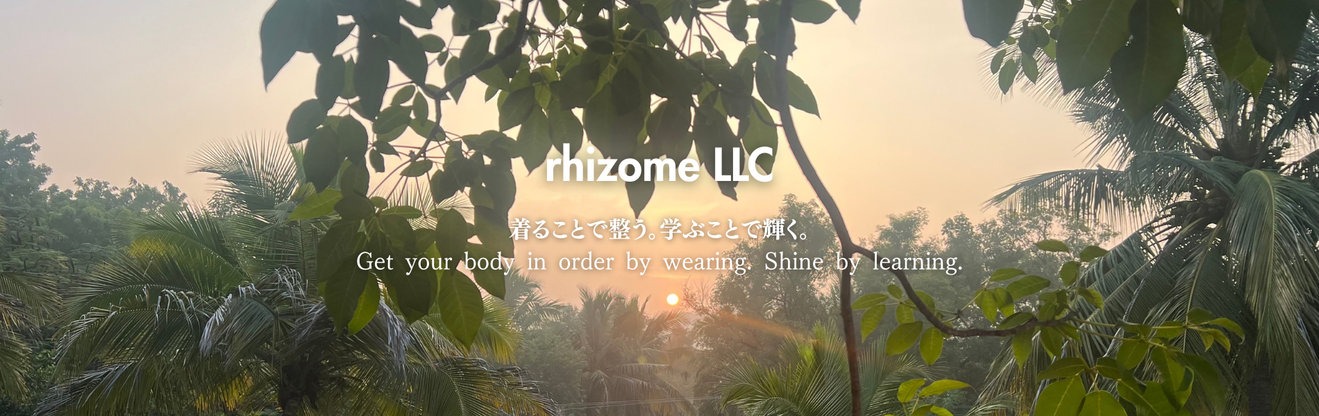 top rhizome